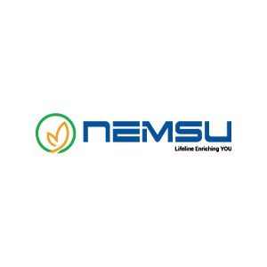 NEMSU Holdings